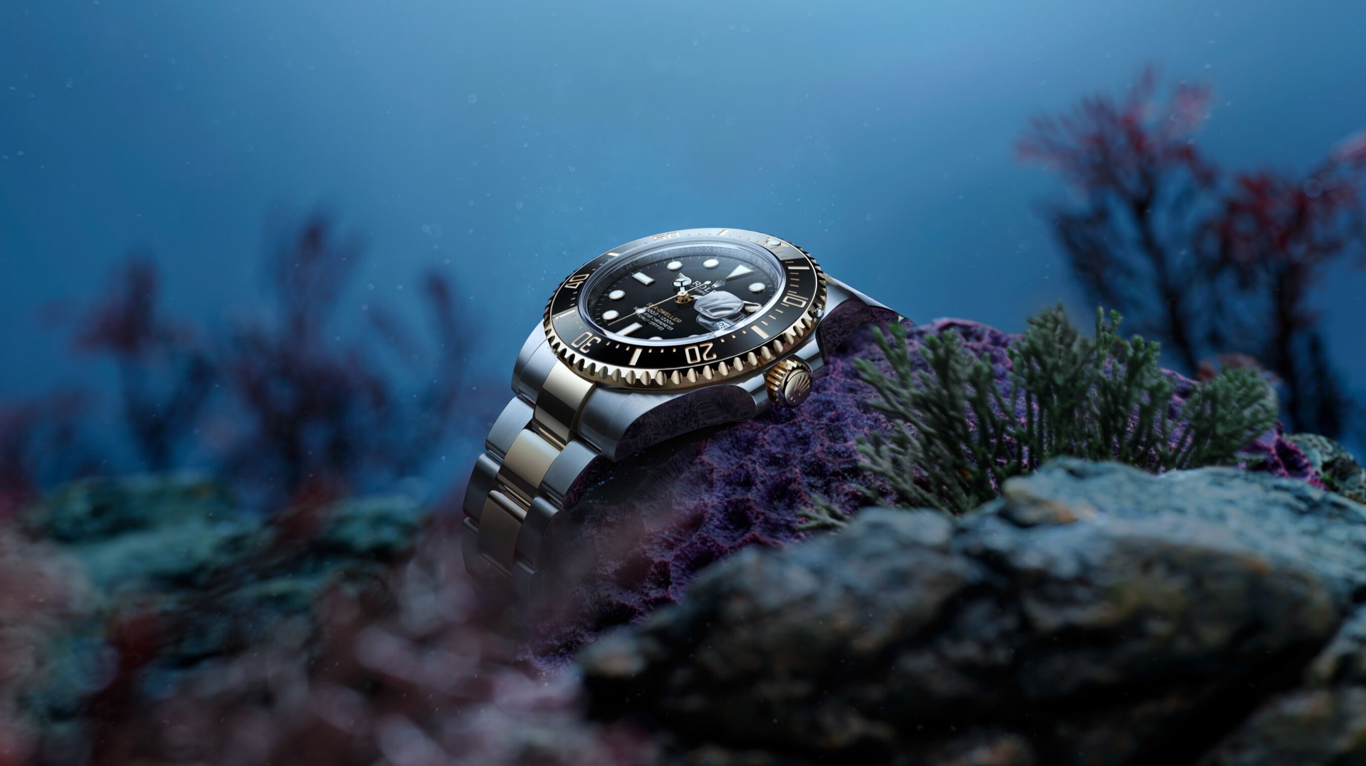 Citizen rolex deals